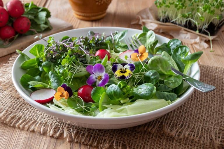 Pansies, 12 Edible Flowers to Add Flavor and Color to Your Meals