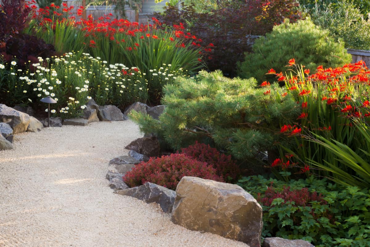 A path made of coarse sand winds through a perennial garden in the late afternoon sun