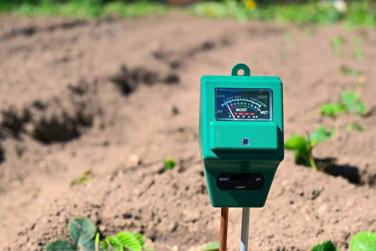 Soil testing equipment placed in the garden of small time vegetable plantation