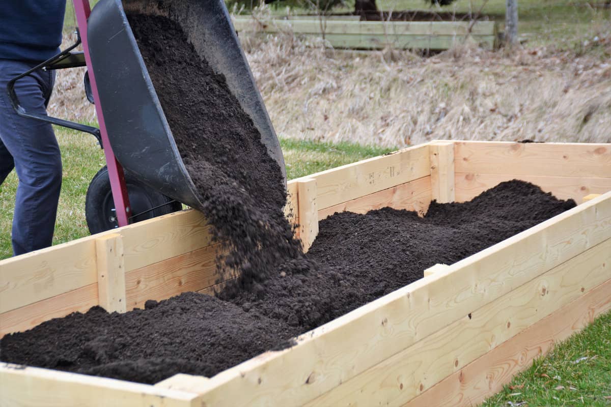 Gardening preparing soil in the garden