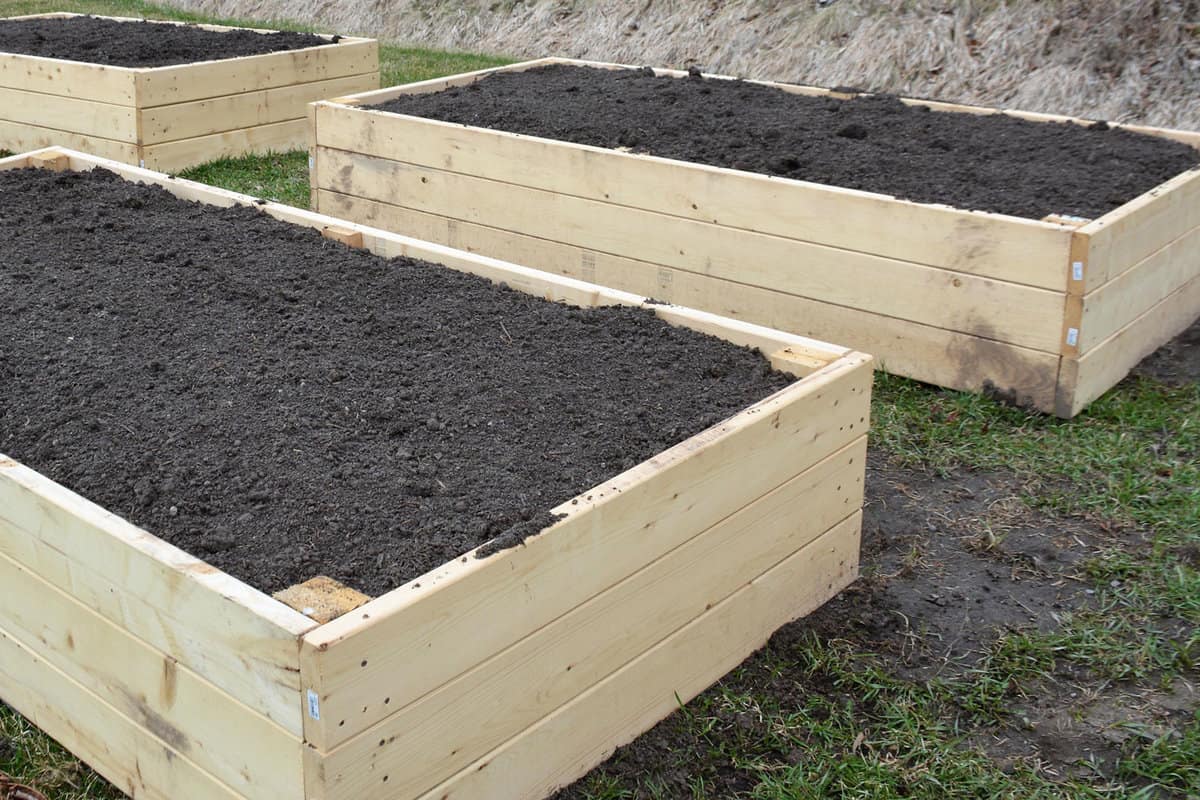Soil preparation in container gardens