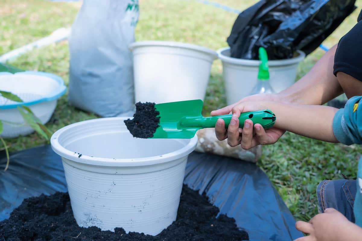 Soil preparation in the garden