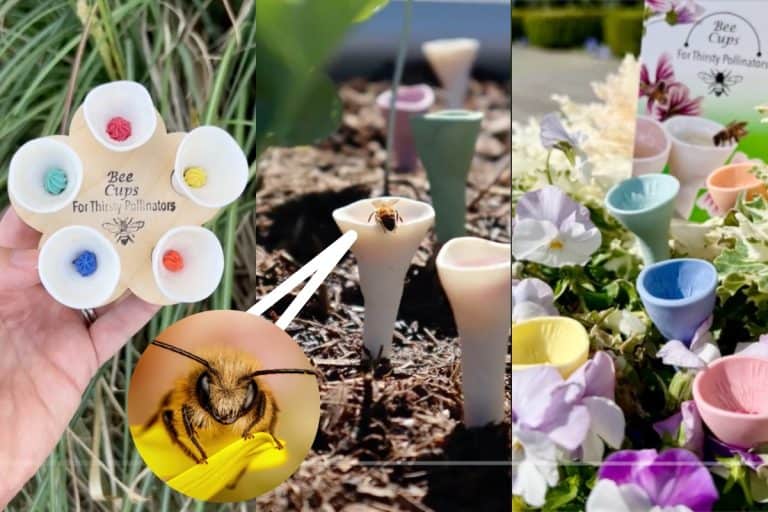 Bee cups in garden to attract pollinators