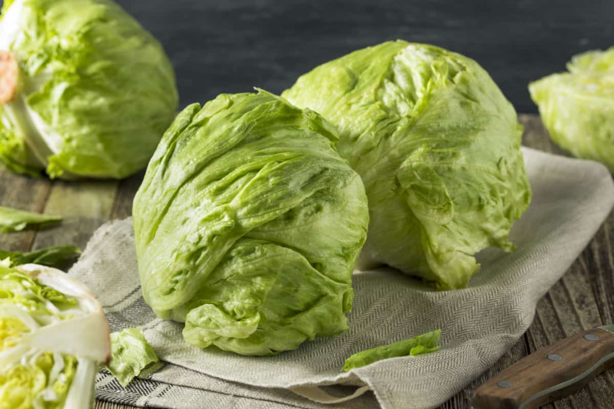 heads of iceberg lettuce on a kitchen towel