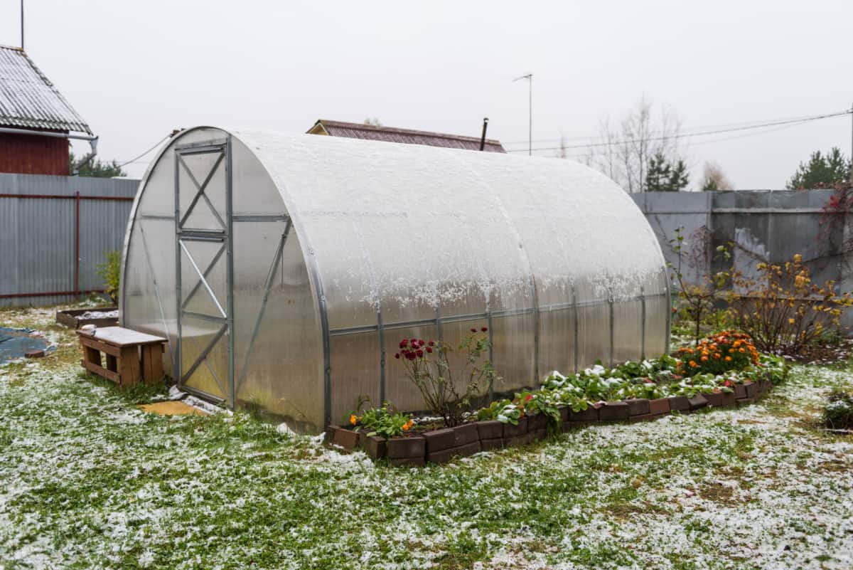 polycarbonate greenhouse covered with the first snow in the garden