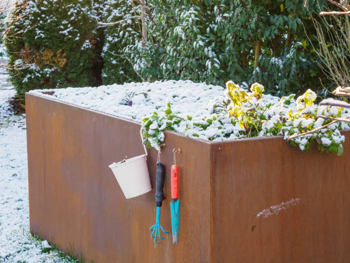 snow covered steel raised bed with tools