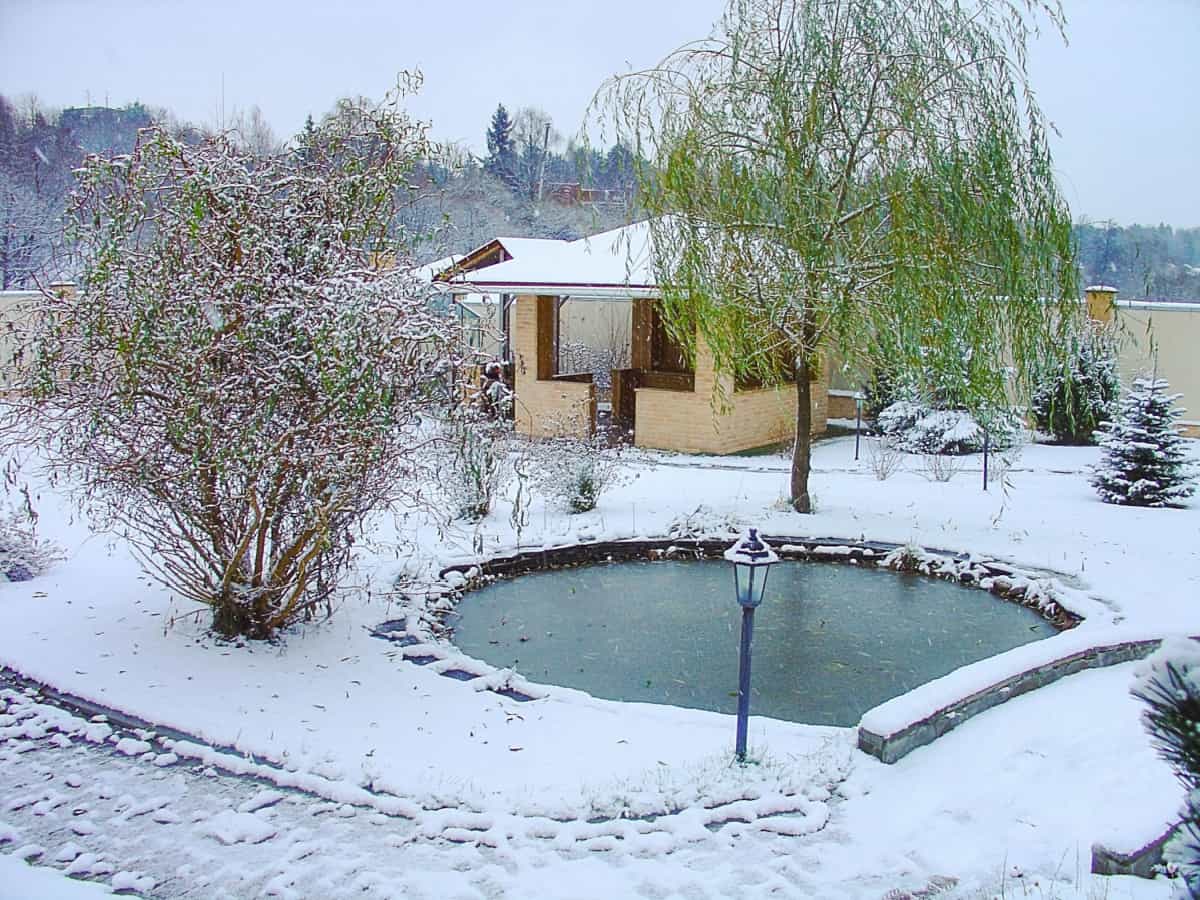 winter view of exterior of a private garden pond