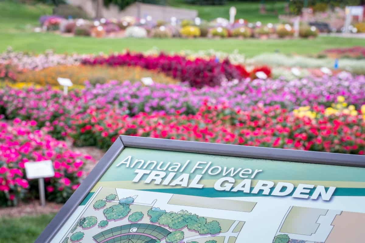 Annual Flower Trial Garden at Colorado State University