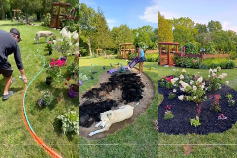 Screenshots of a couple creating a new flowerbed in their lawn