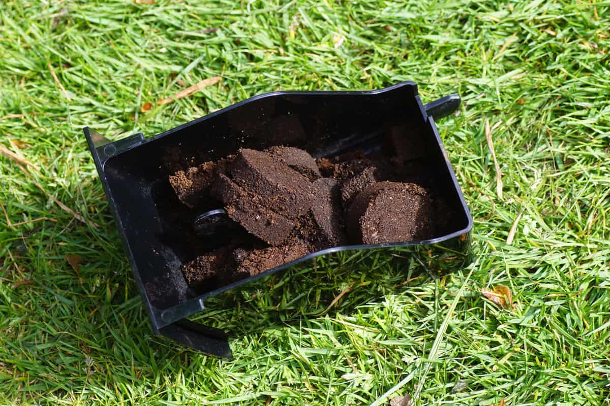 Coffee grounds stored in a container