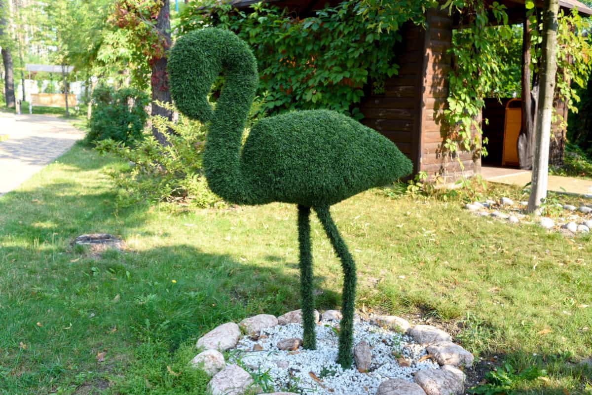Figure of flamingo made of green lawn grass