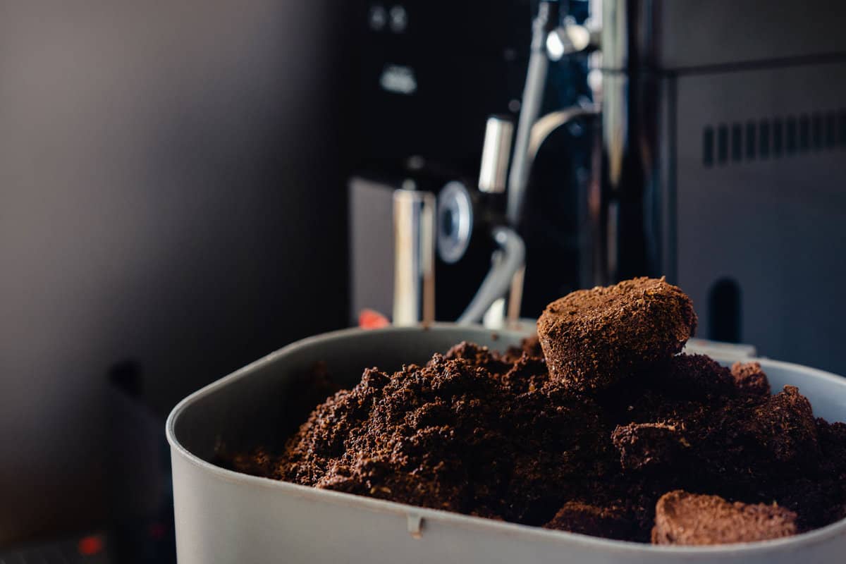 Fresh-coffee-grounds-from-the-coffee-shop