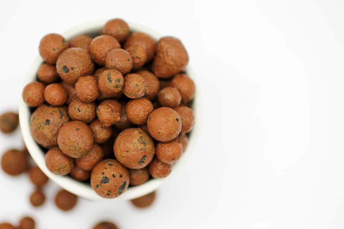 Top view of leca - clay pebbles - hydroponics on a white background