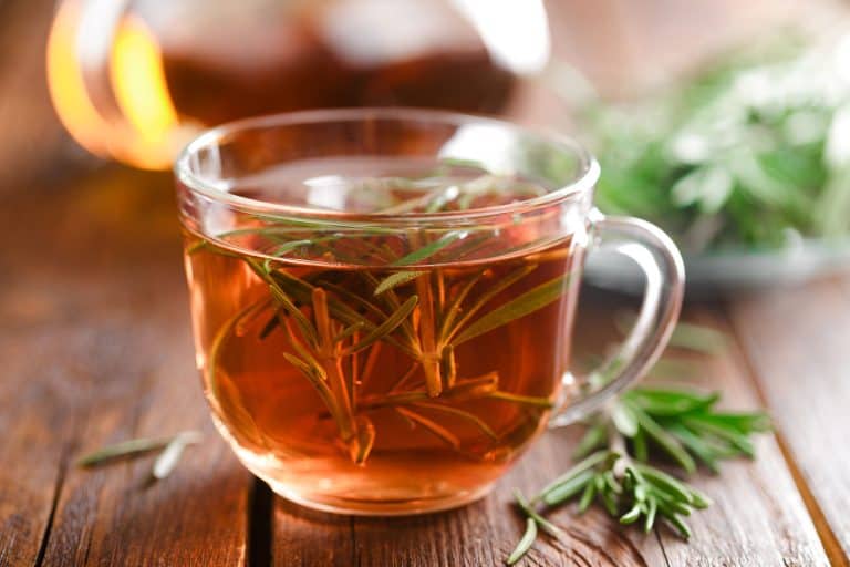 Healthy Rosemary tea, 10 Plants for Your Very Own Homemade Tea: Tea Lovers Unite