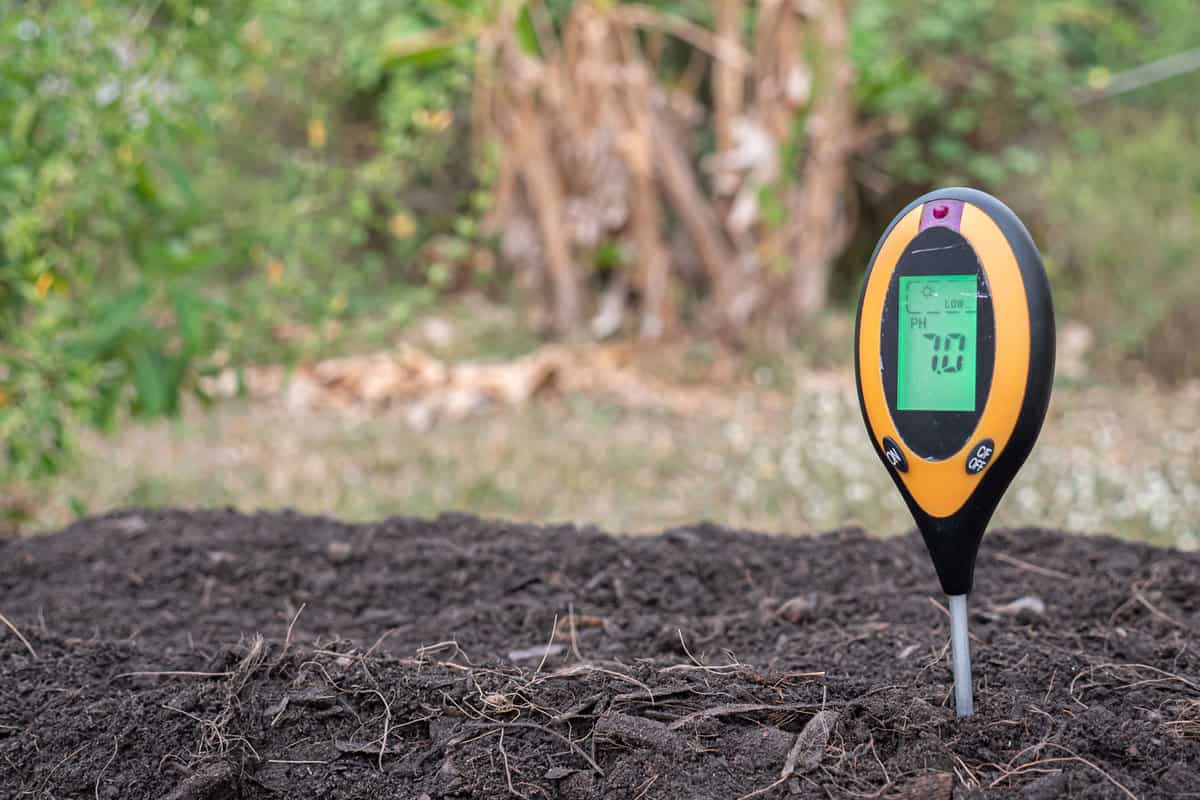 pH-soil-measuring-device
