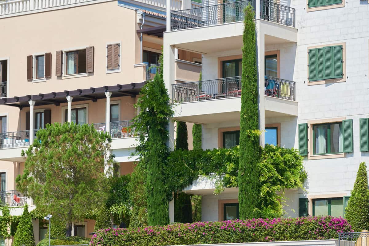 Italian Cypress planted outside a condominium building 