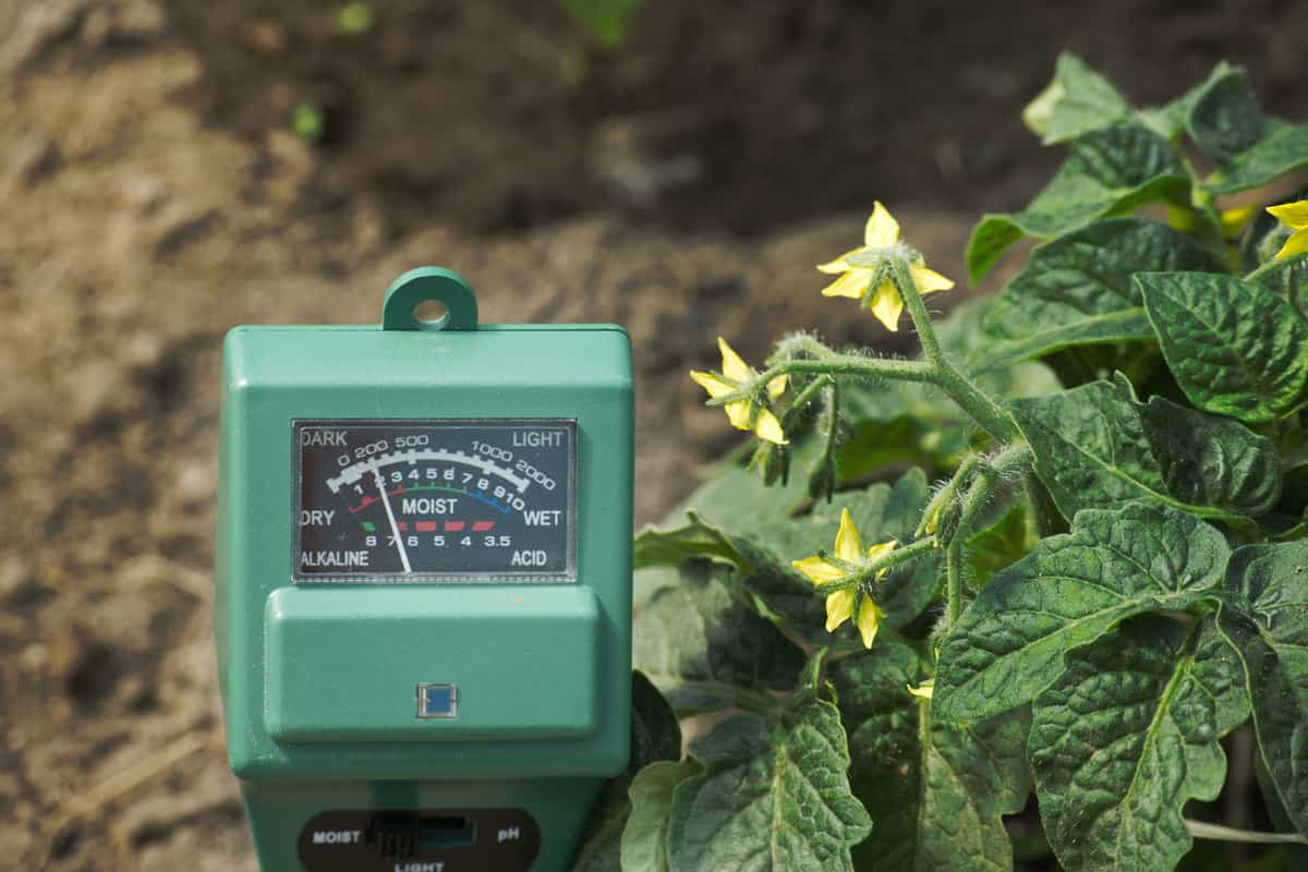 Soil pH testing equipment placed in the garden