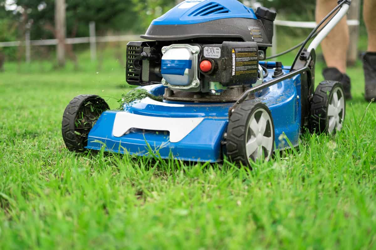 Kobalt lawn mower