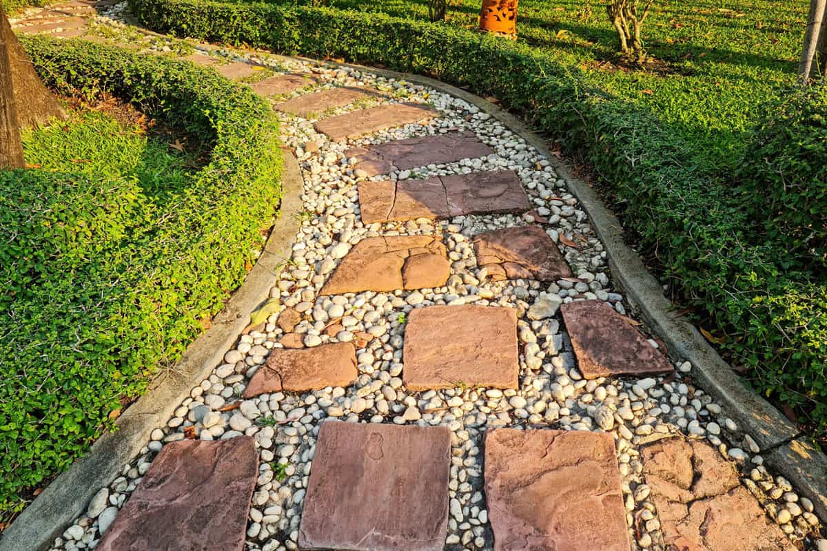 stone walkway in the garden with a fence on both sides of a small hedge
