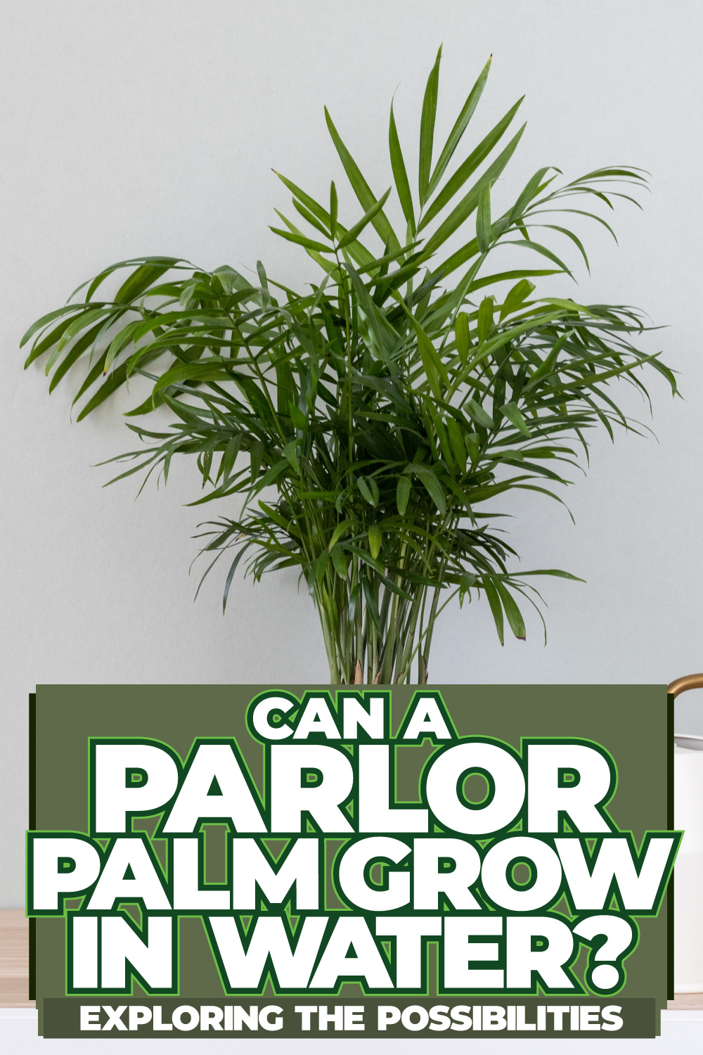 Can A Parlor Palm Grow In Water Exploring the Possibilities