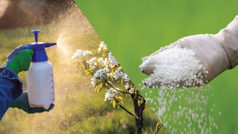 Collaged photo of spraying pesticide and fertilizer, Can You Mix Fertilizer With Insecticide - 1600x900