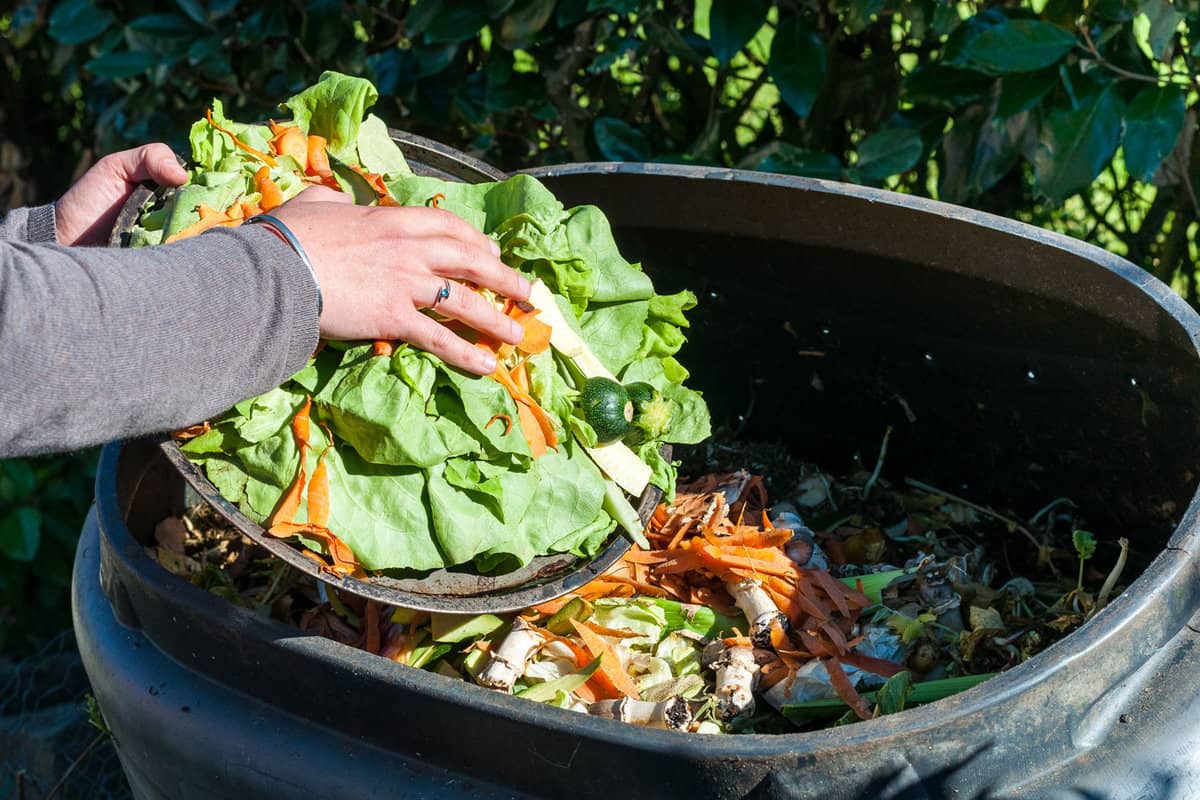 Woman throwing vegetables to the compost bin