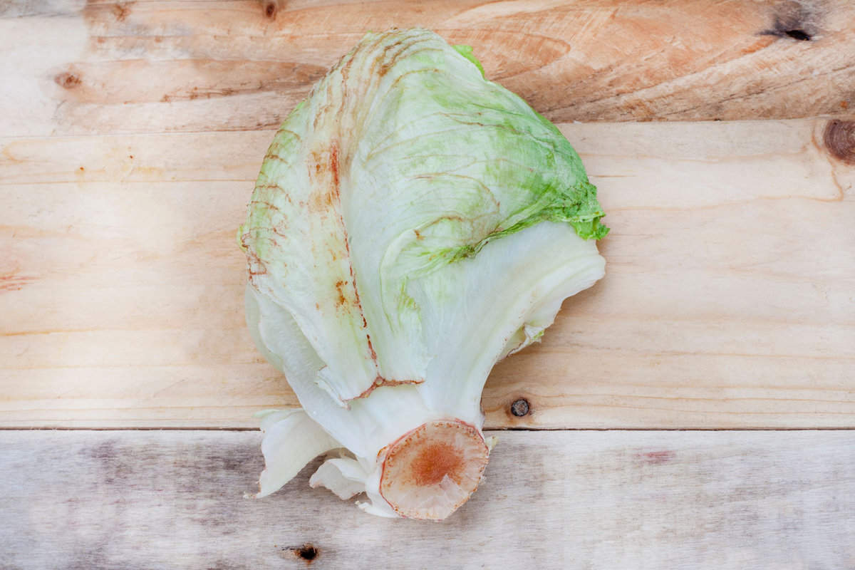Lettuce turning red, vegetables damaged and rotting, lettuce head wilting with browning edges.