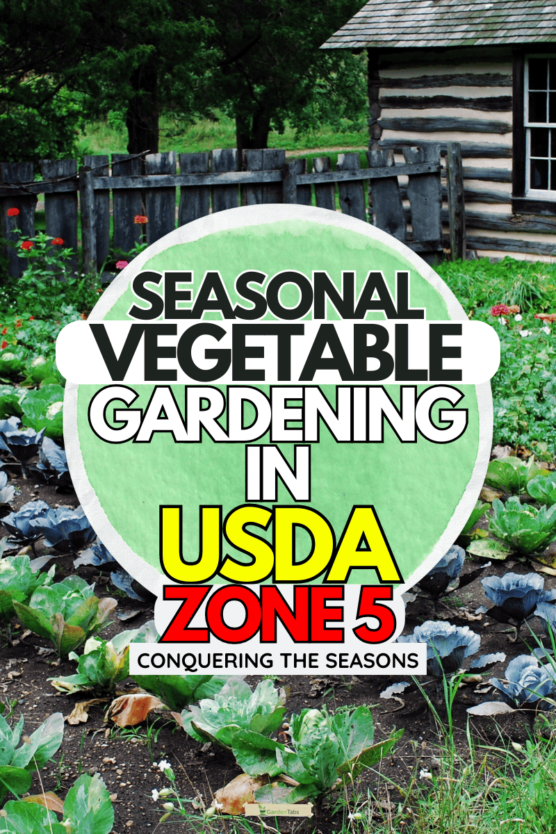 Rustic log cabin with fenced vegetable garden - Seasonal Vegetable Gardening In USDA Zone 5: 