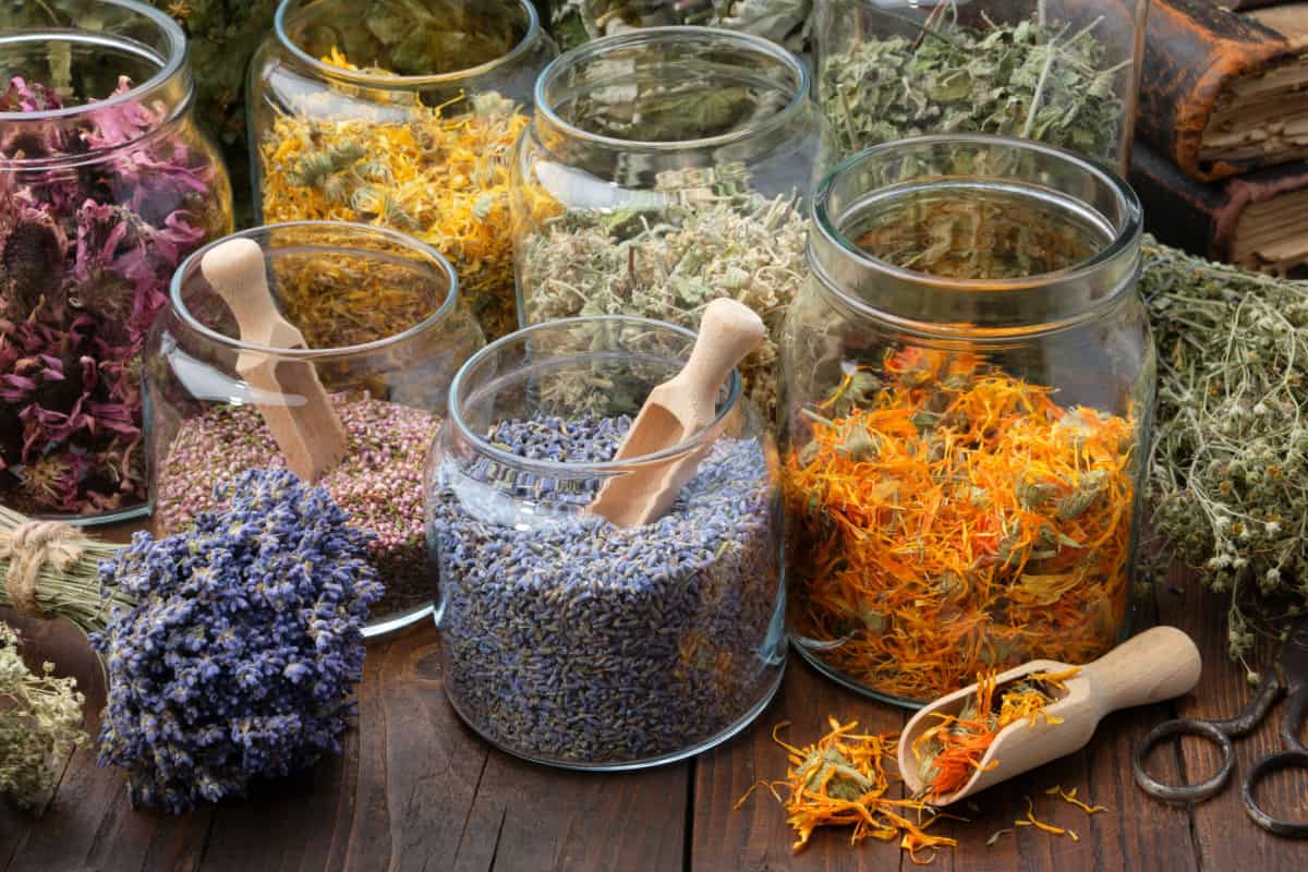 herbs in the jars
