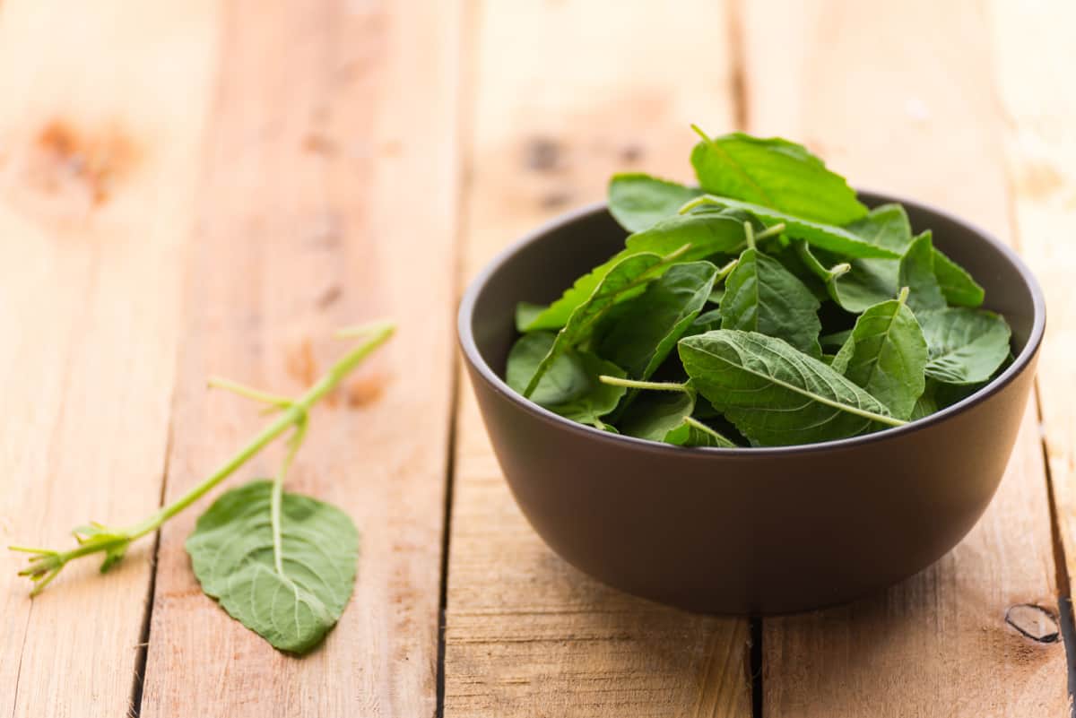 herbs leaves in a bowl