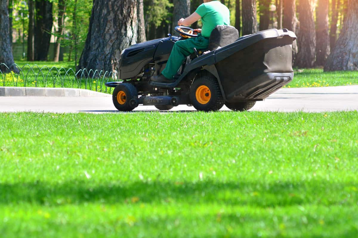 gardener riding a lawn mower