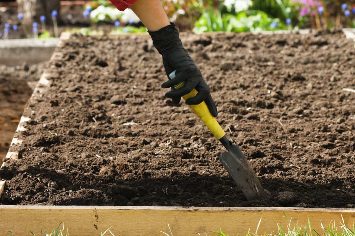 Preparing soil in the garden
