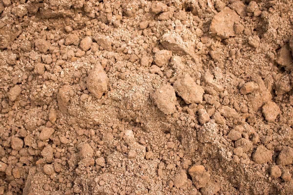 Up close photo of Soil in the garden