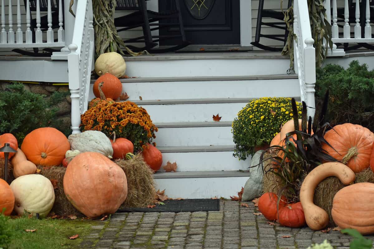 Pumpkins and mums decorated in the front porch of a house