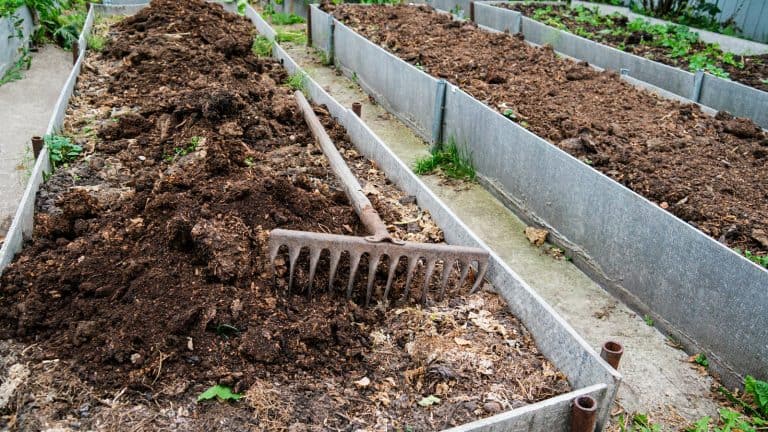 Composting leaves in the garden, The Secret To Protecting Your Garden Beds Through Winter: Fall Mulching Explained - 1600x900