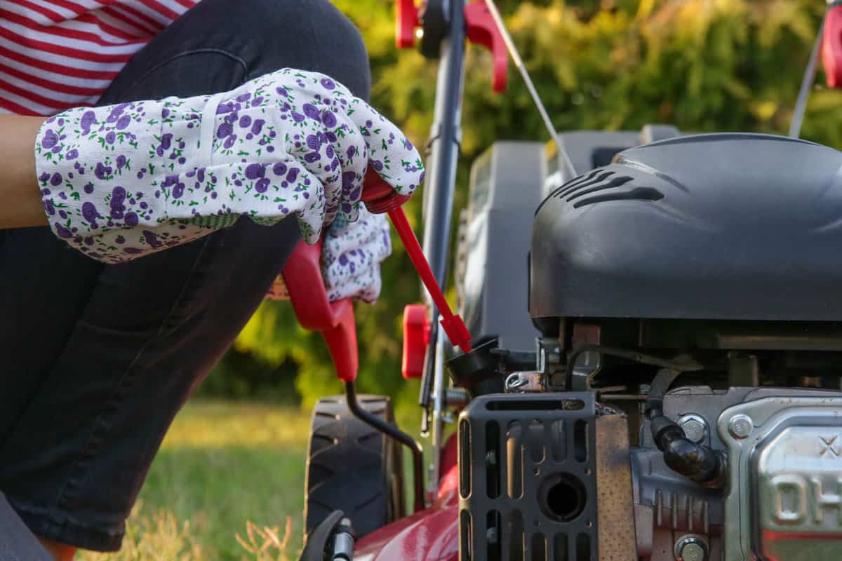 Man checking the lawn mower oil levels