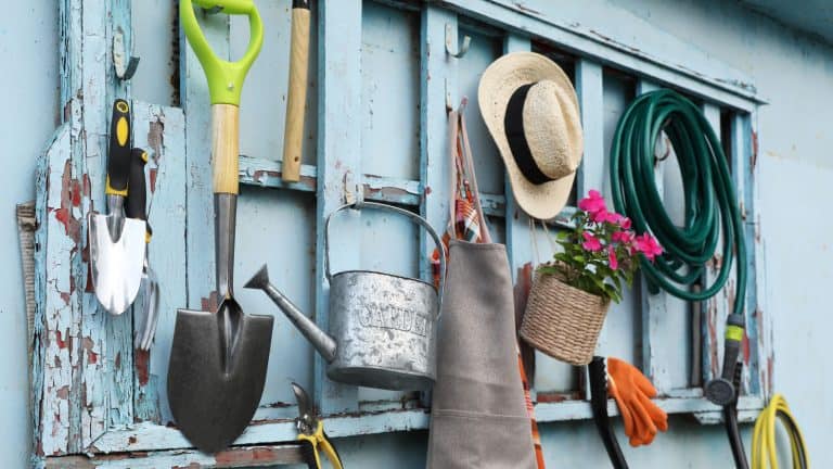 Tools stored in a garden shed, 8 Genius Ways To Clean And Store Garden Tools For Winter - 1600x900