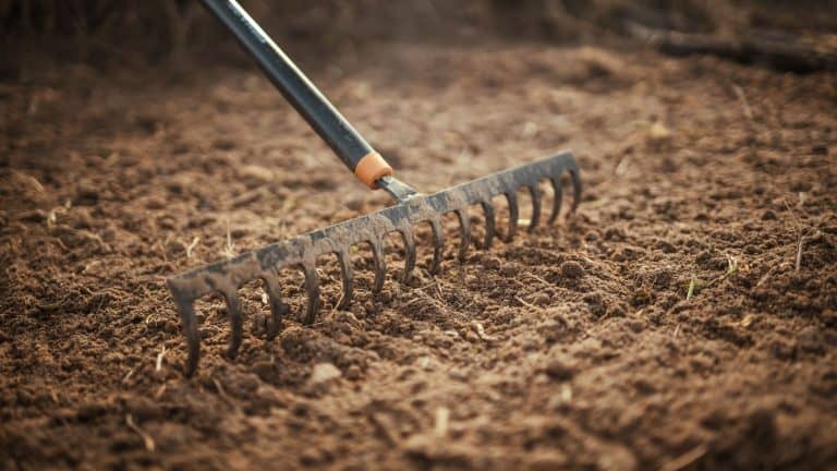 Raking soil in order to prepare for fall, 10 Brilliant Hacks to Prepare Your Soil for the Fall (And Prevent Frost Damage) - 1600x900