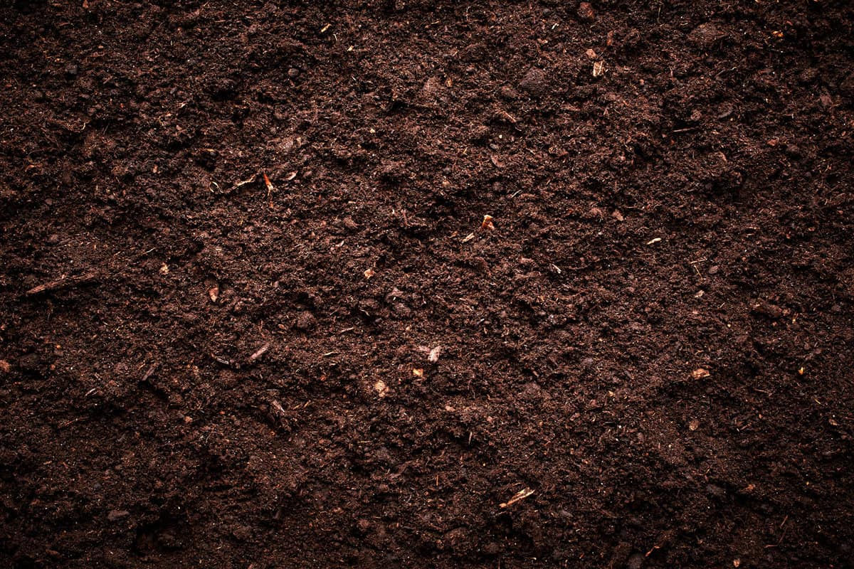 Up close photo of garden soil