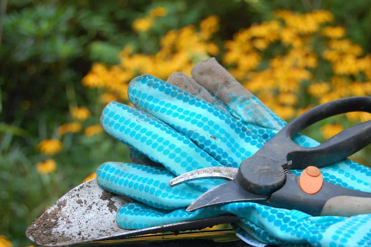 Gardening gloves and garden shears placed on top of a rock