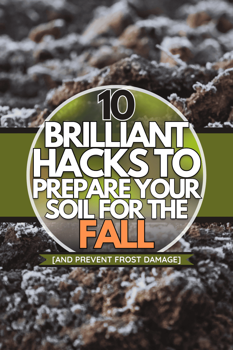 Frozen ground with hoarfrost on a farm field. Focus on frozen soil. - 10 Brilliant Hacks To Prepare Your Soil For The Fall [And Prevent Frost Damage]