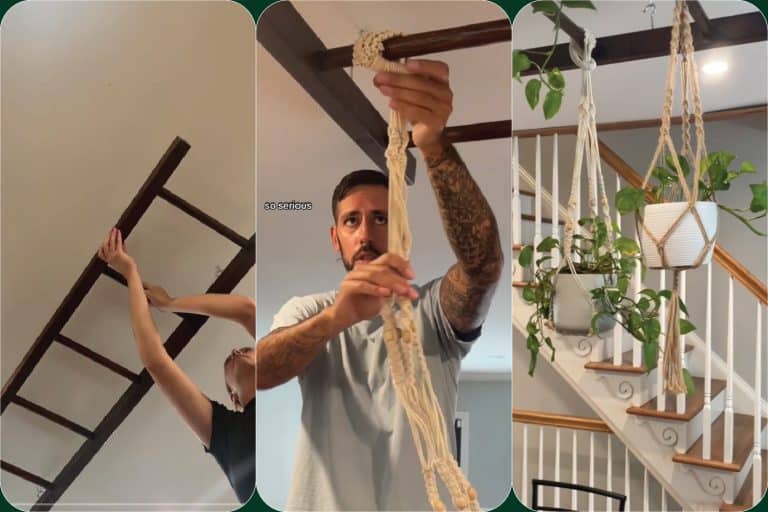 The Viral Video That Will Make You Want To Install A Plant Ladder ASAP