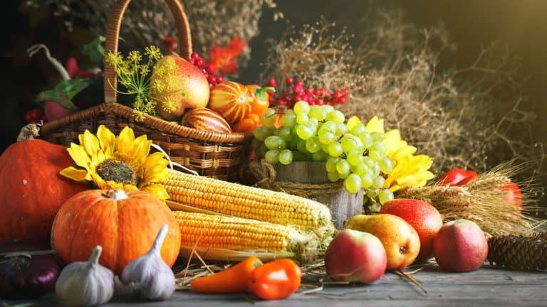 Fresh new harvest in autumn season, Ideas for Using Autumn Harvests - Recipes, Crafts, Decor - 1600x900