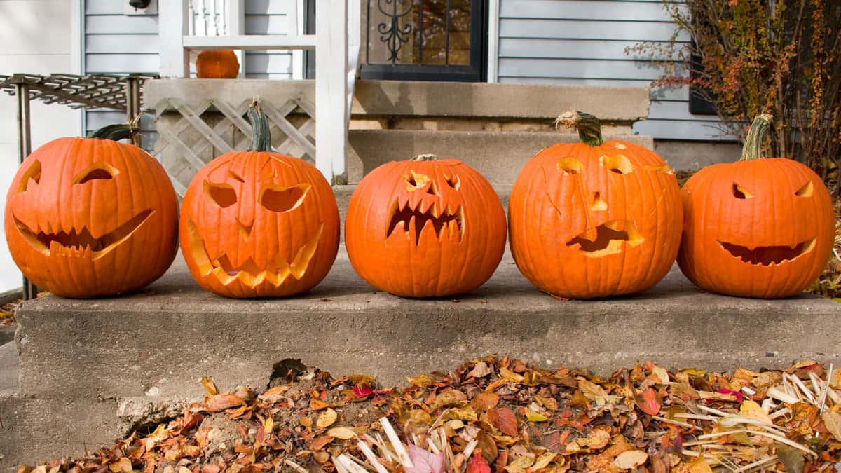 Jack O' Lanterns decorated in the front porch, How to Choose the Best Pumpkins at the Pumpkin Patch - 1600x900