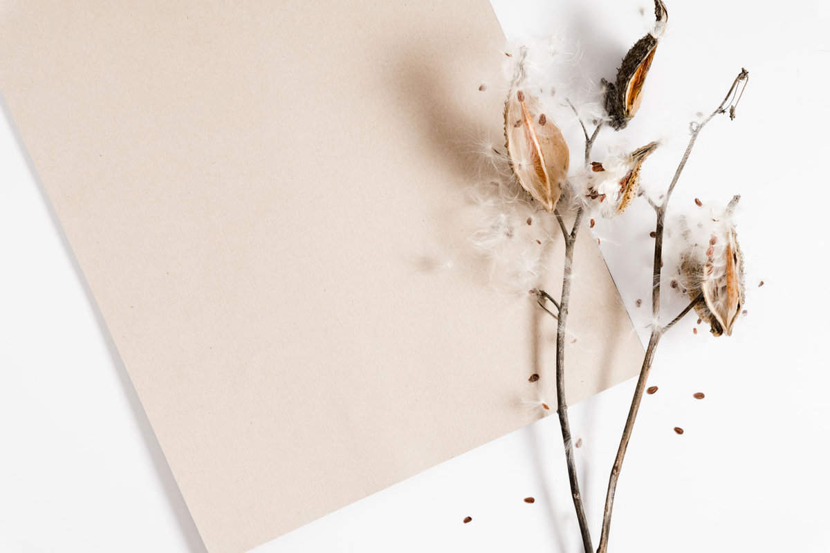 Dried flowers and a paper 