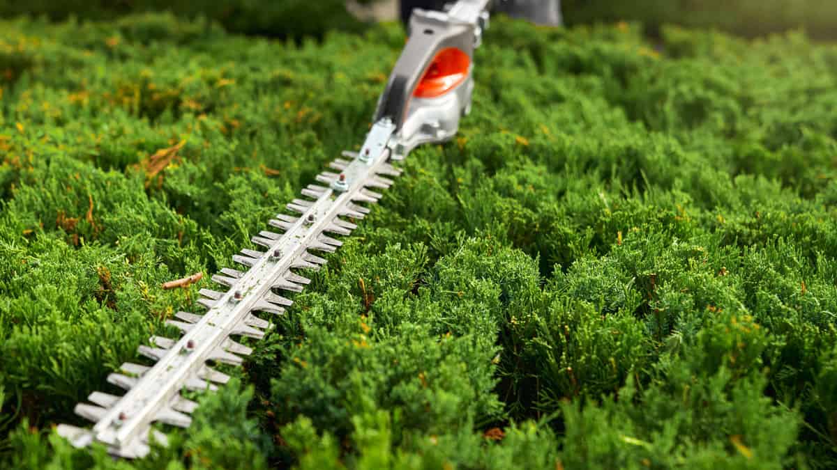 A Stihl garden trimmer used for trimming the hedges in the garden, How Long Do Stihl Trimmers Last? 1600x900