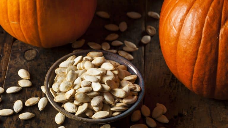 Fresh collected pumpkin seeds, Saving Pumpkin Seeds: Best Tips For Cleaning And Storage - 1600x900