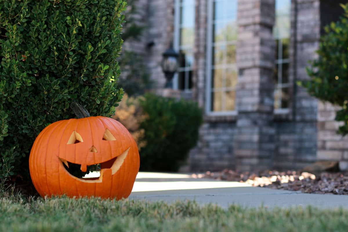 A Jack O' Lantern decorated near the front porch