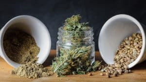 Two bowls of seeds and dried plant, Drying and Storing Flower Seeds - 1600x900