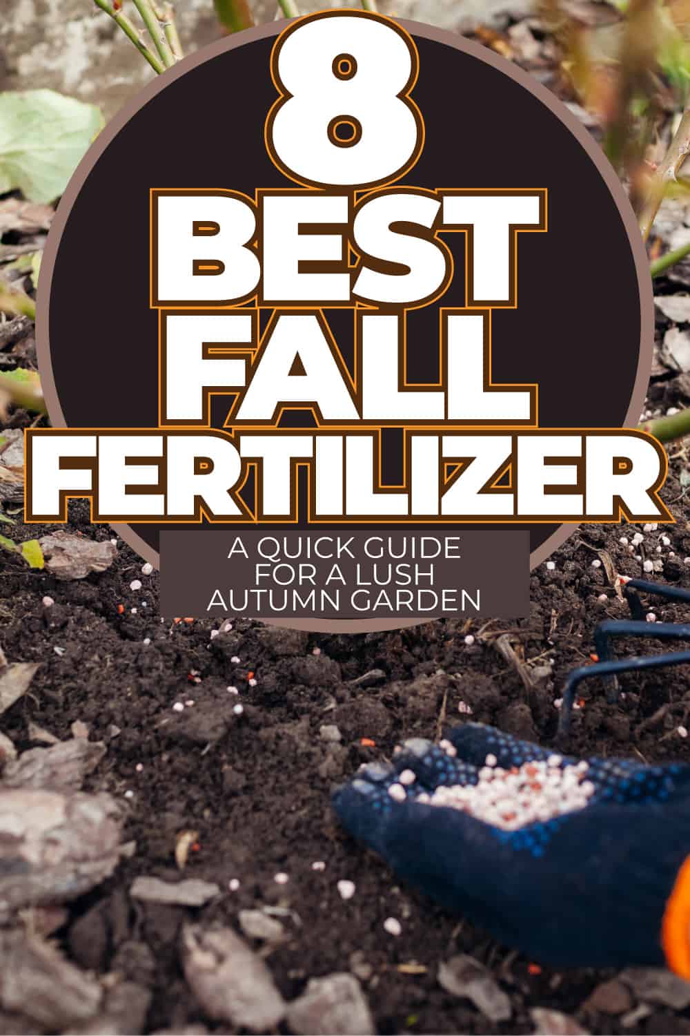8 Best Fall Fertilizers: A Quick Guide for a Lush Autumn Garden